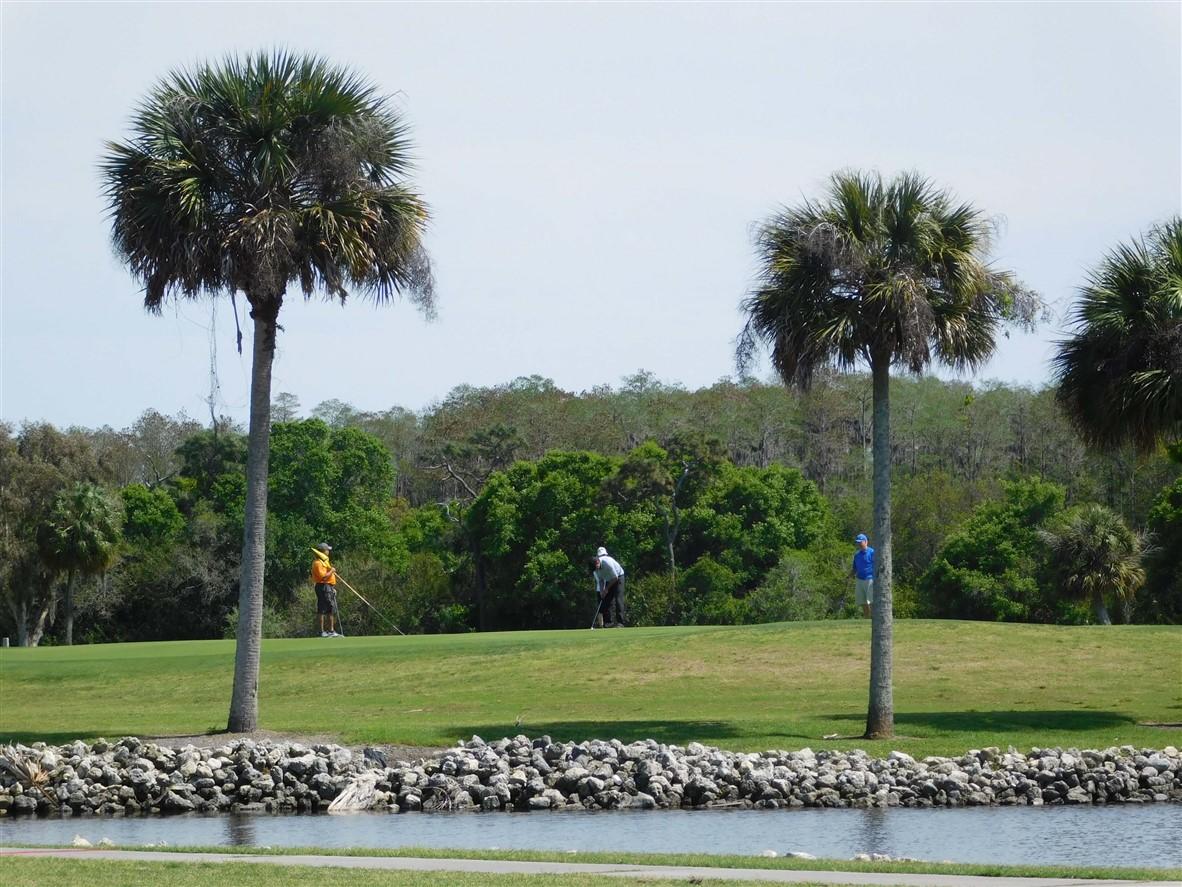 Tarpon Springs Golf Course
